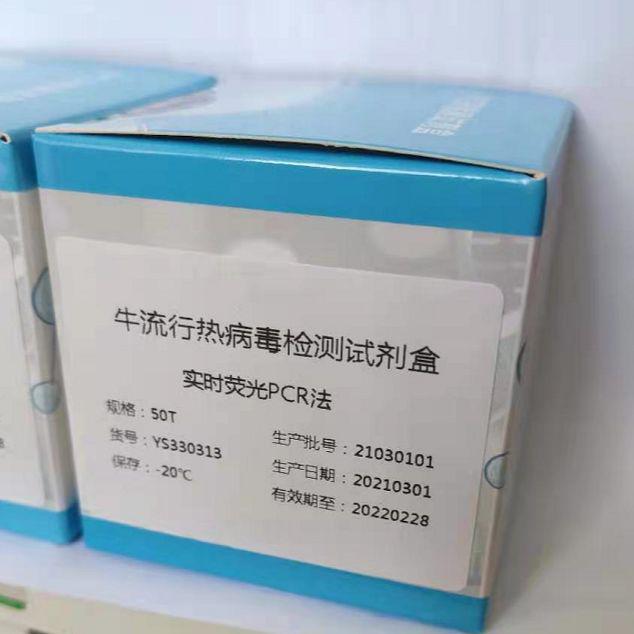 细粒棘球绦虫PCR试剂盒