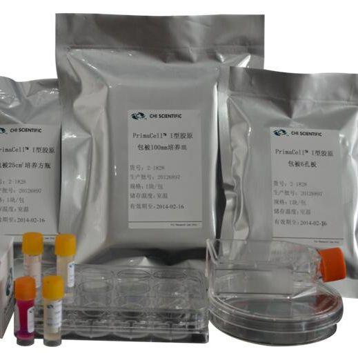 基质胶包被6孔板（transwell侵袭实验推荐★★★★★） 