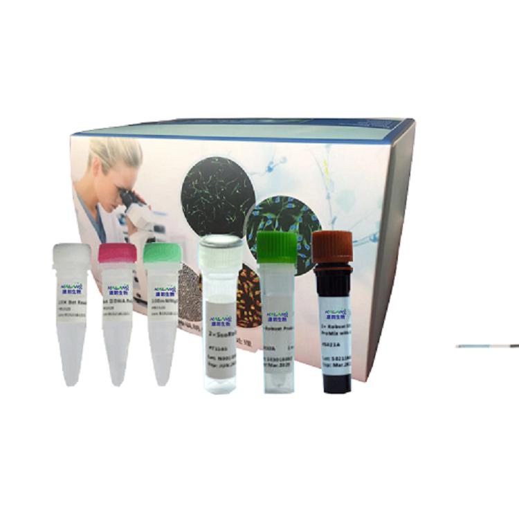 红花LAMP鉴定试剂盒