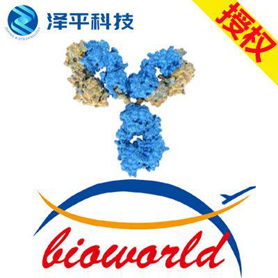 Bioworld LDLR polyclonal antibody