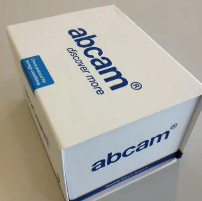 Recombinant rat M-CSF protein (Animal Free)