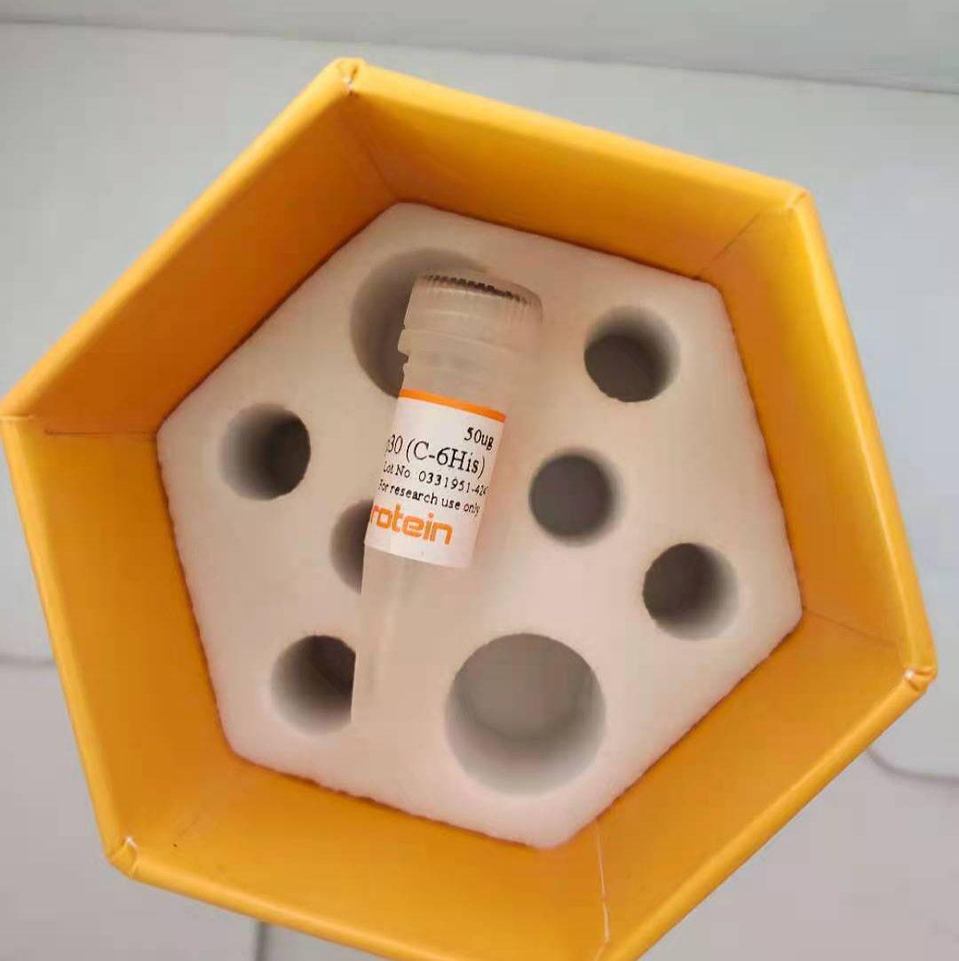 重组人血管内皮生长因子(121)