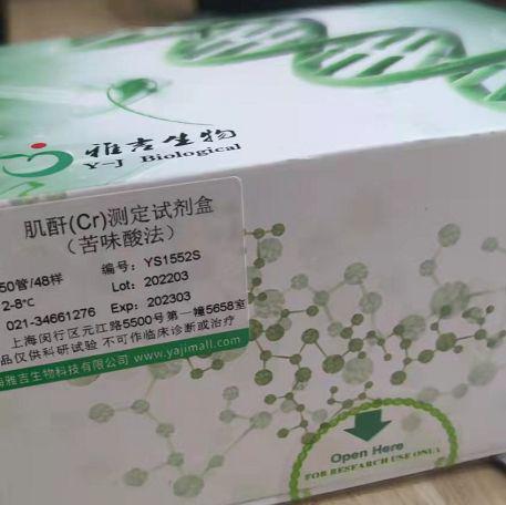 RFectSP悬浮细胞小核酸转染试剂