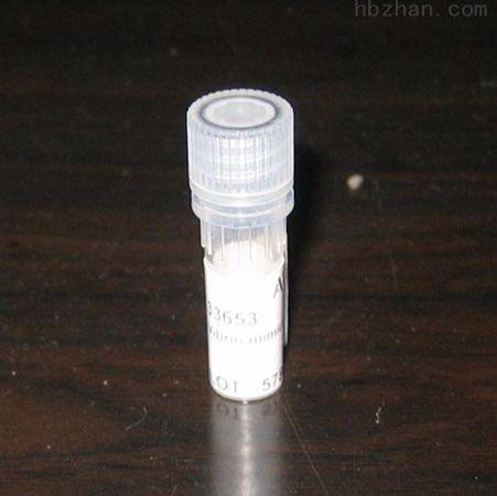 血管内皮细胞迁移蛋白抗体