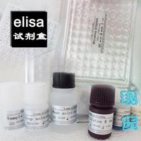 人(ATG)供应,人抗胸腺细胞球蛋白ELISA,