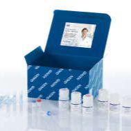 基因组DNA小提试剂盒