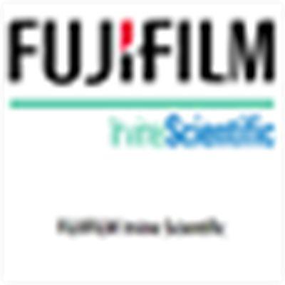 蛋白分子量标记，4360954