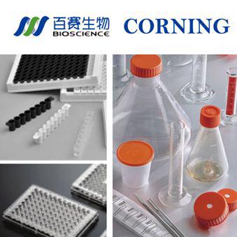 细胞工厂，CellCube模块（25层），TC表面，