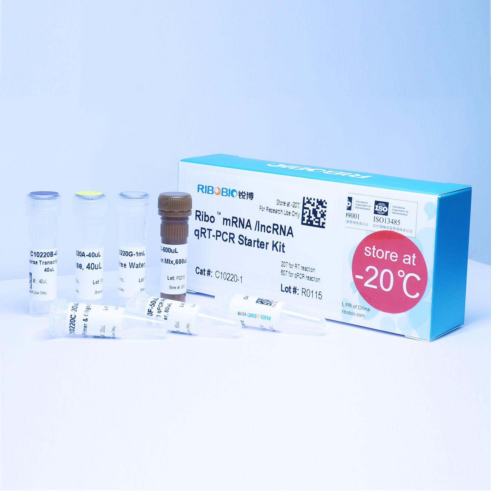 lncRNA/circRNA/基因qRT-PCR试剂盒与引物