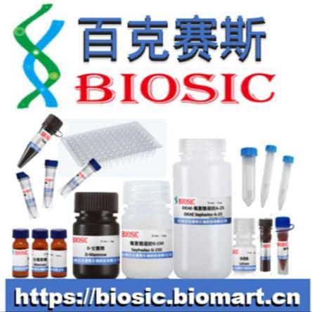 PolyLea非脂质体转染试剂