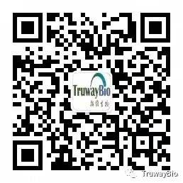 细胞实验周期分析