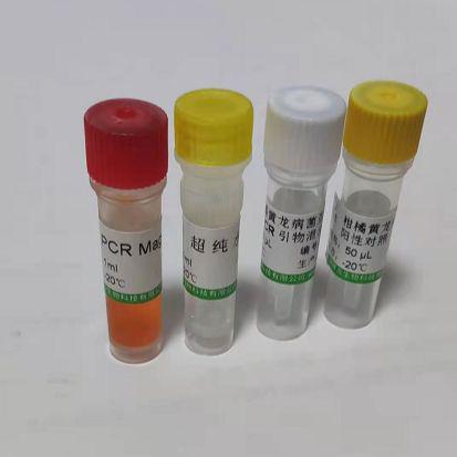 Matrilin1软骨基质蛋白抗体