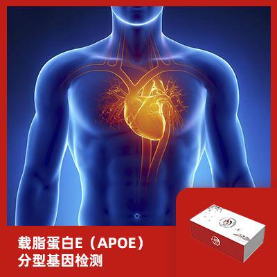 载脂蛋白E（APOE）分型基因检测