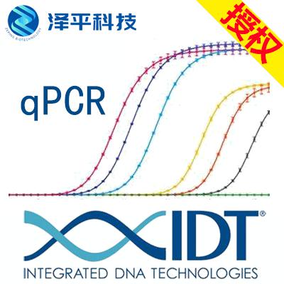 锁核酸修改寡核苷酸探针