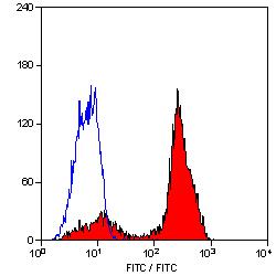 CD2 antibody [LT2] (FITC)