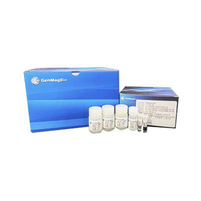 病毒DNA/RNA核酸提取试剂盒（磁珠法）