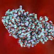 凝胶及图像分析