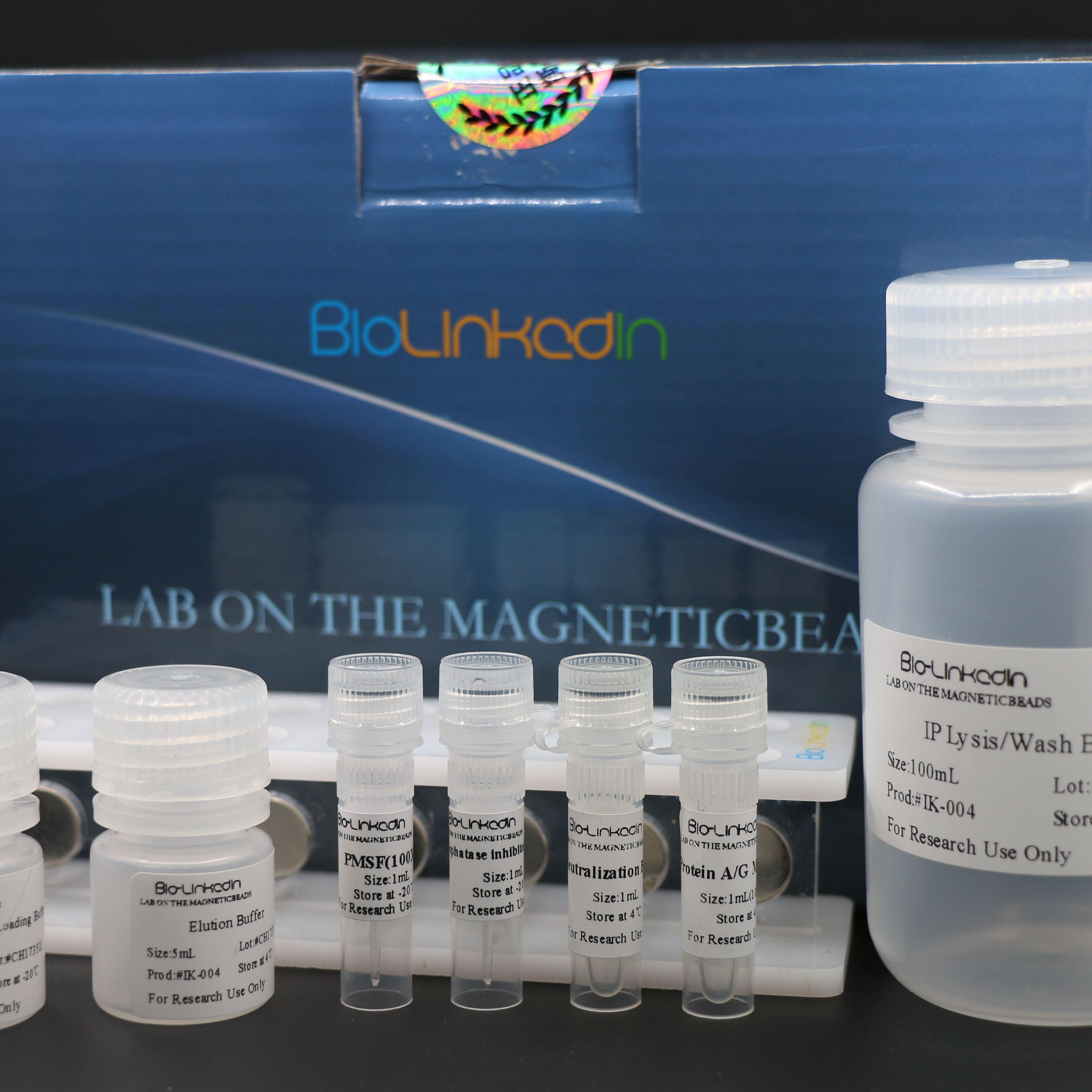 经典磁珠式免疫沉淀/免疫共沉淀试剂盒