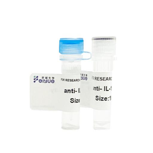 淋巴管内皮细胞透明质酸受体1(LYVE1)多克隆抗体Polyclonal Antibody to Lymphatic Vessel Endothelial Hyaluronan Receptor 1 (LYVE1)