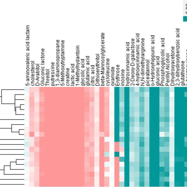 差异代谢产物聚类分析