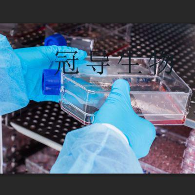 霉菌液体培养基批次新