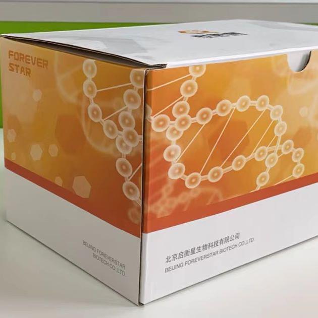 启衡星StarPure DNA片段分选磁珠