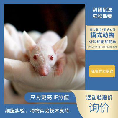 动物模型构建服务