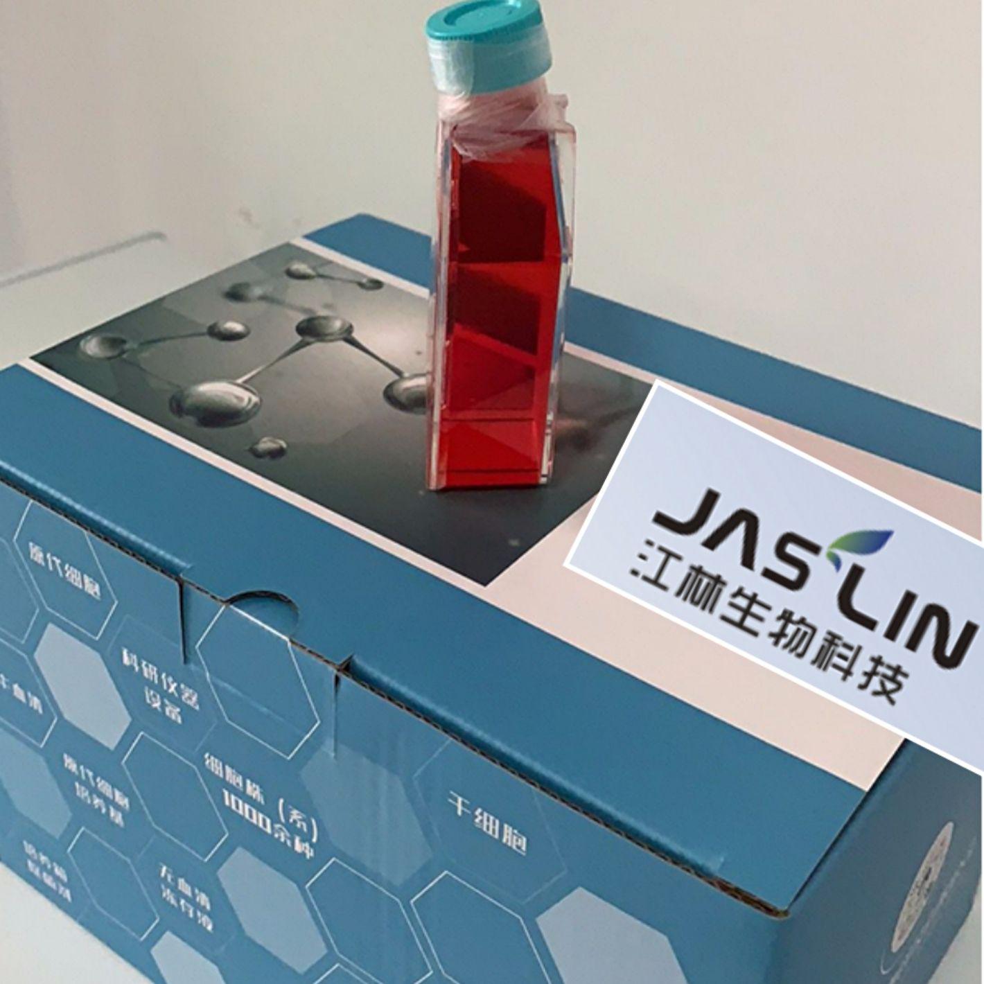 人视网膜母细胞瘤；Y79