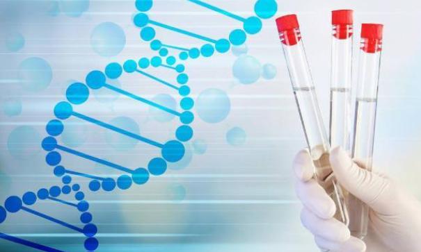 柱式全血RNA提取试剂盒