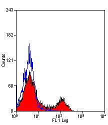 CD11b antibody [M1/70.15] (Biotin)
