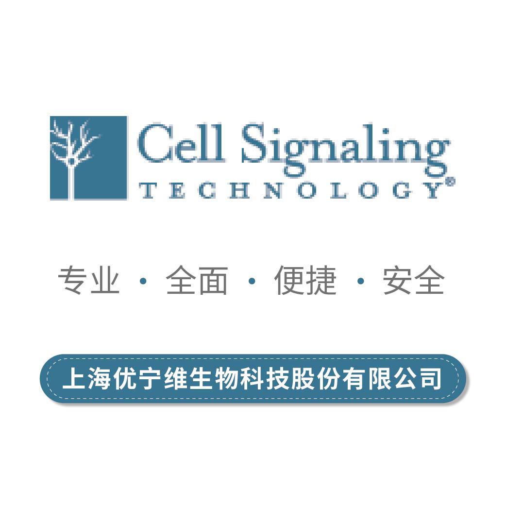 Cell Signaling（CST)--上海优宁维公司