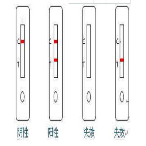 动物疫病检测 大板卡 