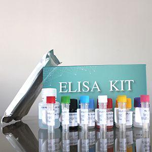 猫（Cat）游离甲状腺激素（FT4） ELISA检测试剂盒