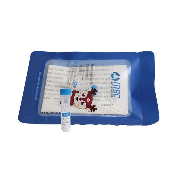 FITC标记的羊抗小鼠IgG H&L