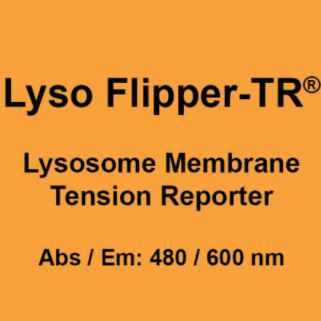 Lyso Flipper-TR®溶酶体特异性活细胞荧光膜张力探针
