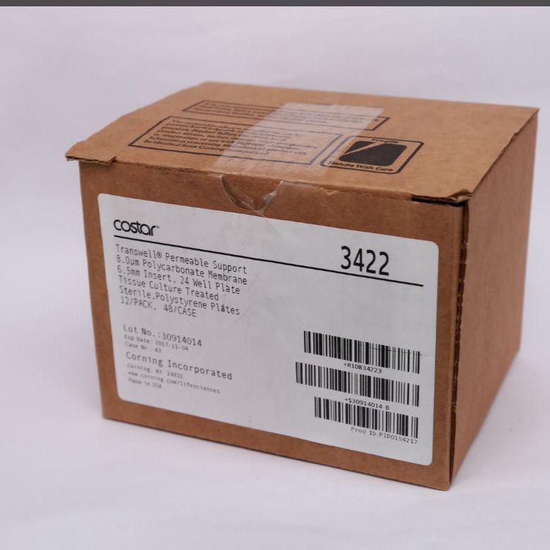 Transwell 24孔/8um