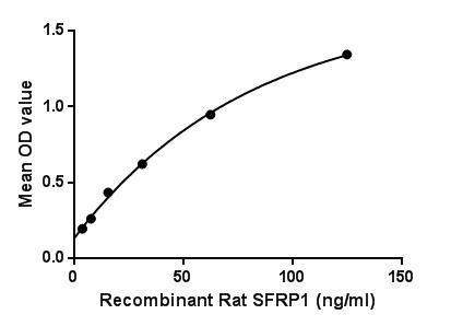 Rat SFRP1 protein, His tag (active)