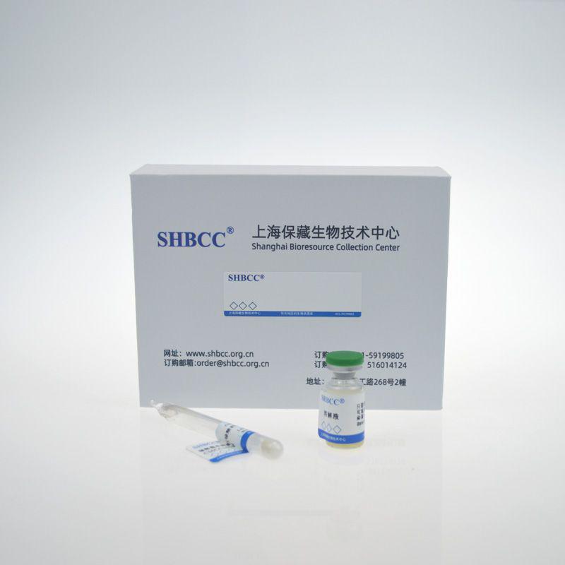 少根根霉AS 3.2667