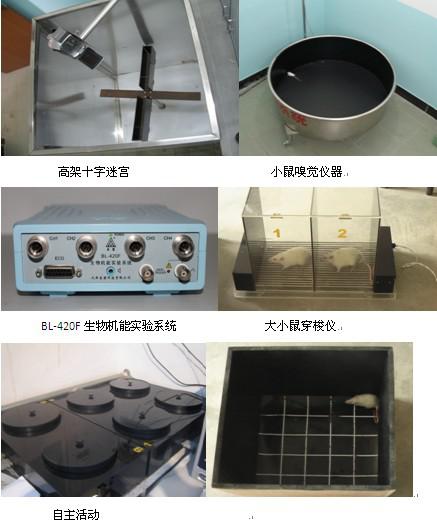 专业动物药理毒理实验 各类动物模型建立实验