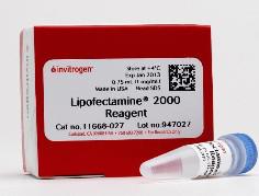 脂质体 2000