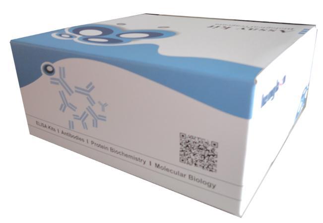 人心肌特异性肌钙蛋白T(cTnT)ELISA Kit