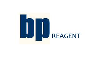 人生长激素释放因子(GH-RF)ELISA Kit