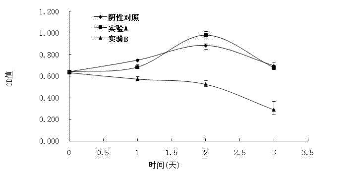细胞增殖（MTT/CCK-8）检测