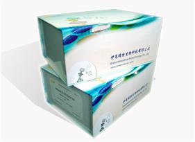 人5-甲基四氢叶酸高半胱氨酸甲基转移酶(MTR)elisa试剂盒Human MTR (5-Methyltetrahydrofolate Homocysteine Methyltransferase) ELISA Kit