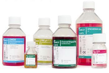 液体沙氏培养基