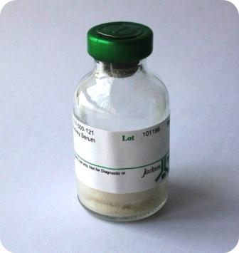 现货供应 jackson 017000121原装驴血清 10ml