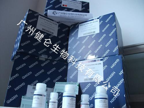 石蜡DNA/RNA同时提取试剂盒