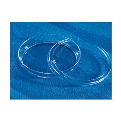 Corning 细胞培养皿 150*25mm 未处理表面(430597),5/包