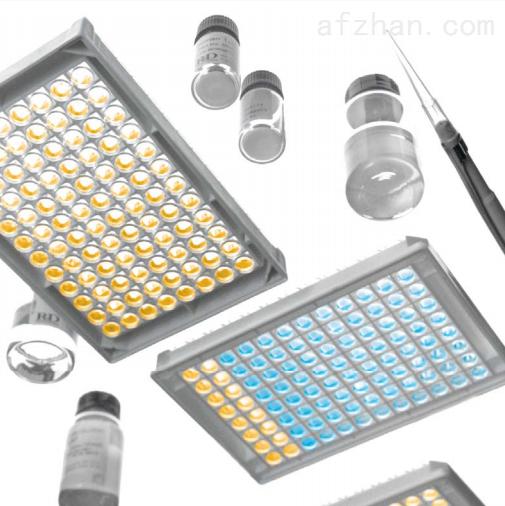 小鼠17羟皮质类固醇(17-OHCS)ELISA试剂盒