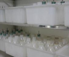 类风湿性关节炎（RA）模型（威斯腾生物-中关村生物医学研发检测共享平台！）